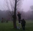 bomen rooien Heeten