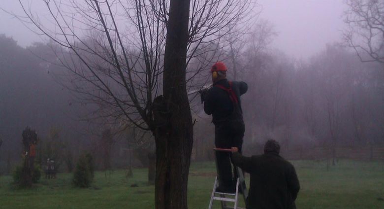 bomen rooien Heeten